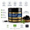shilajit bienfaits